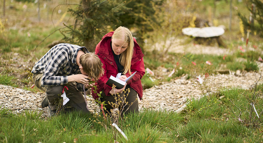 Skovskolen - Københavns Universitet